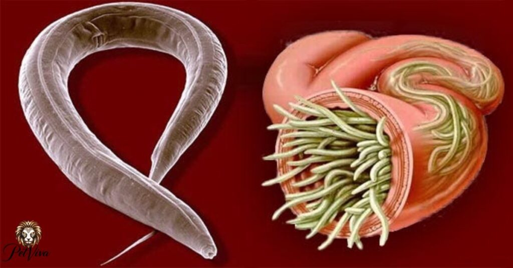 Intestinal parasites