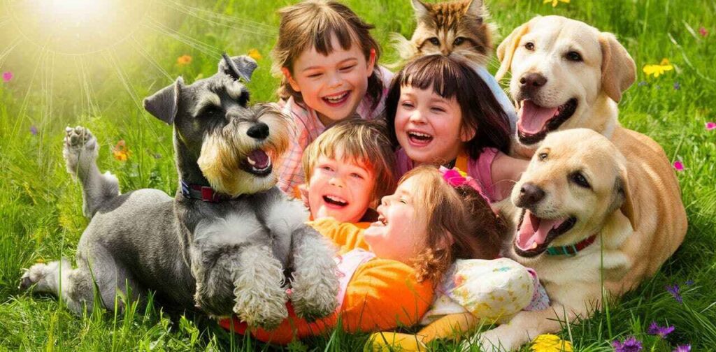 Misconception #3: Schnauzers Don't Get Along With Kids or Other Pets