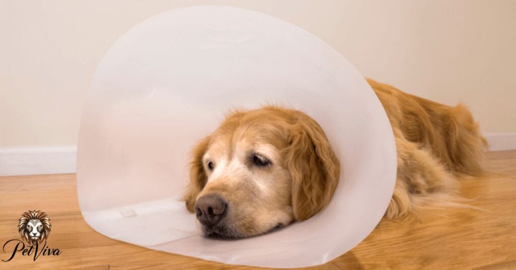 Plastic cone collars