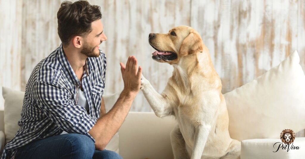 Understanding Canine Communication