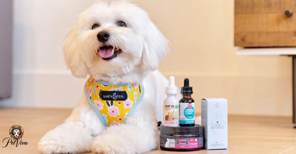 is scentsy safe for pets
