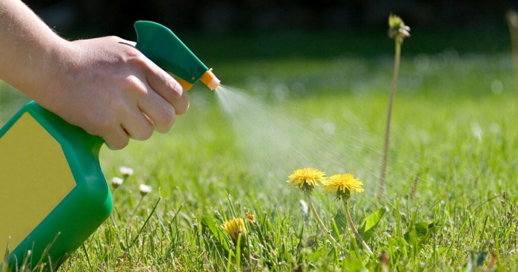A Gardener's Success with Repellents