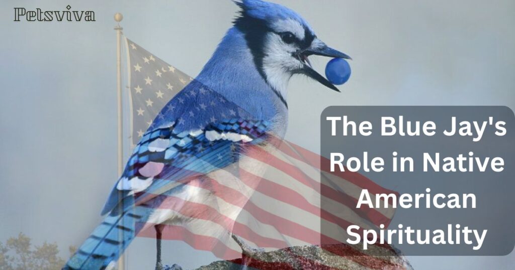 The Blue Jay's Role in Native American Spirituality